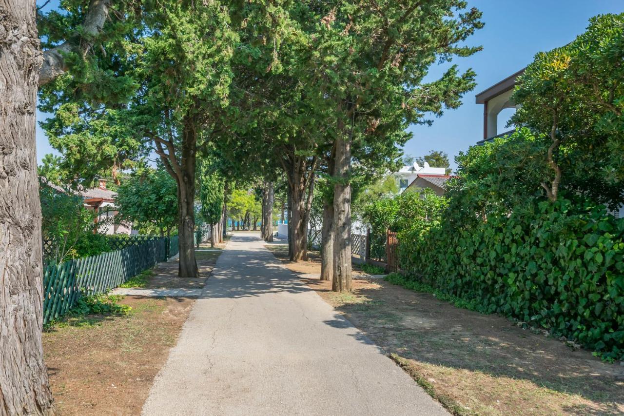 Apartments Mira Privlaka  Dış mekan fotoğraf